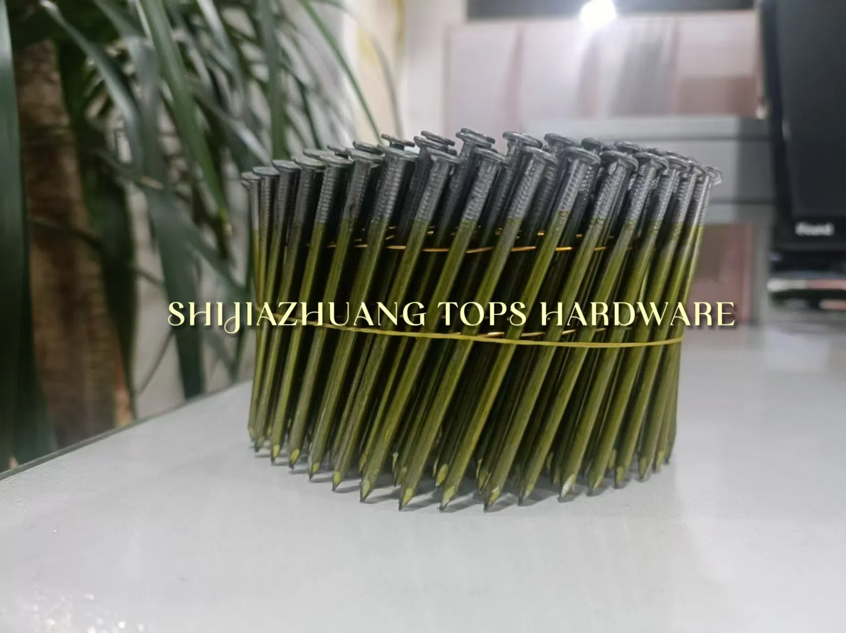 Coil Nail 2.5mm*50mm Galvanized Wood Screws Cheaper Roofing Nail Flat Head