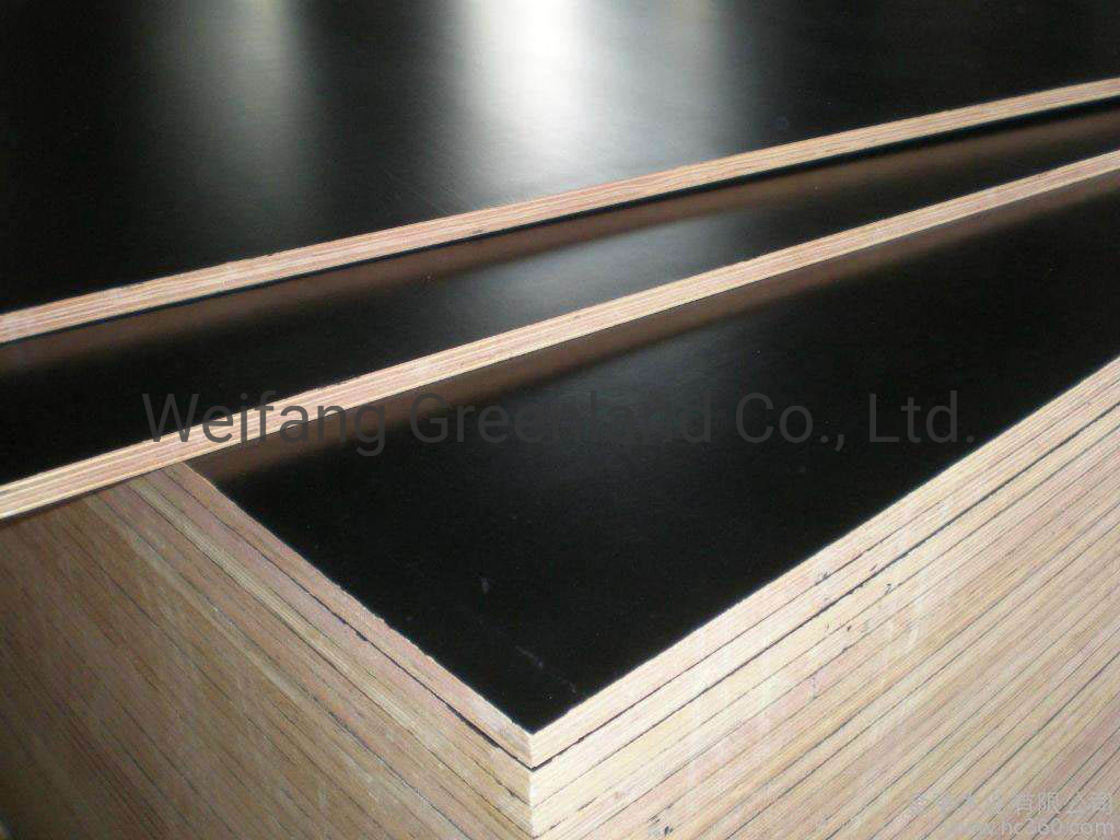 Hardwood Core/Poplar Core/Combi Core, Marine Plywood/Tego Film Faced Shuttering Plywood with Logo