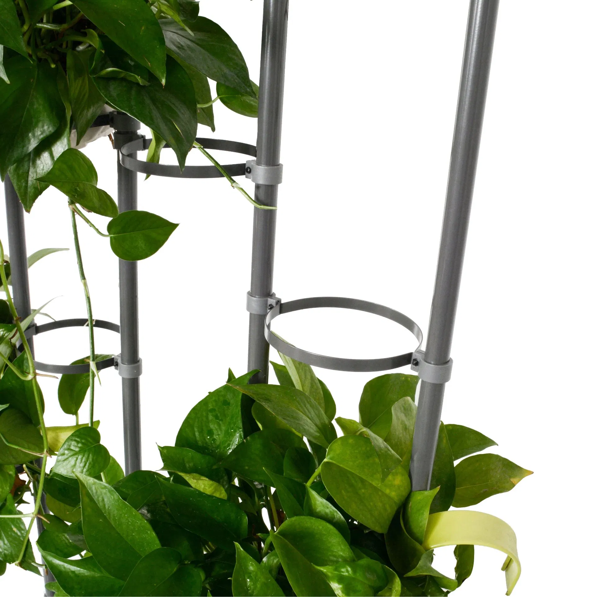 Wholesale Iron Garden Plant Pot Frame Indoor Outdoor Decoration Flower Stand