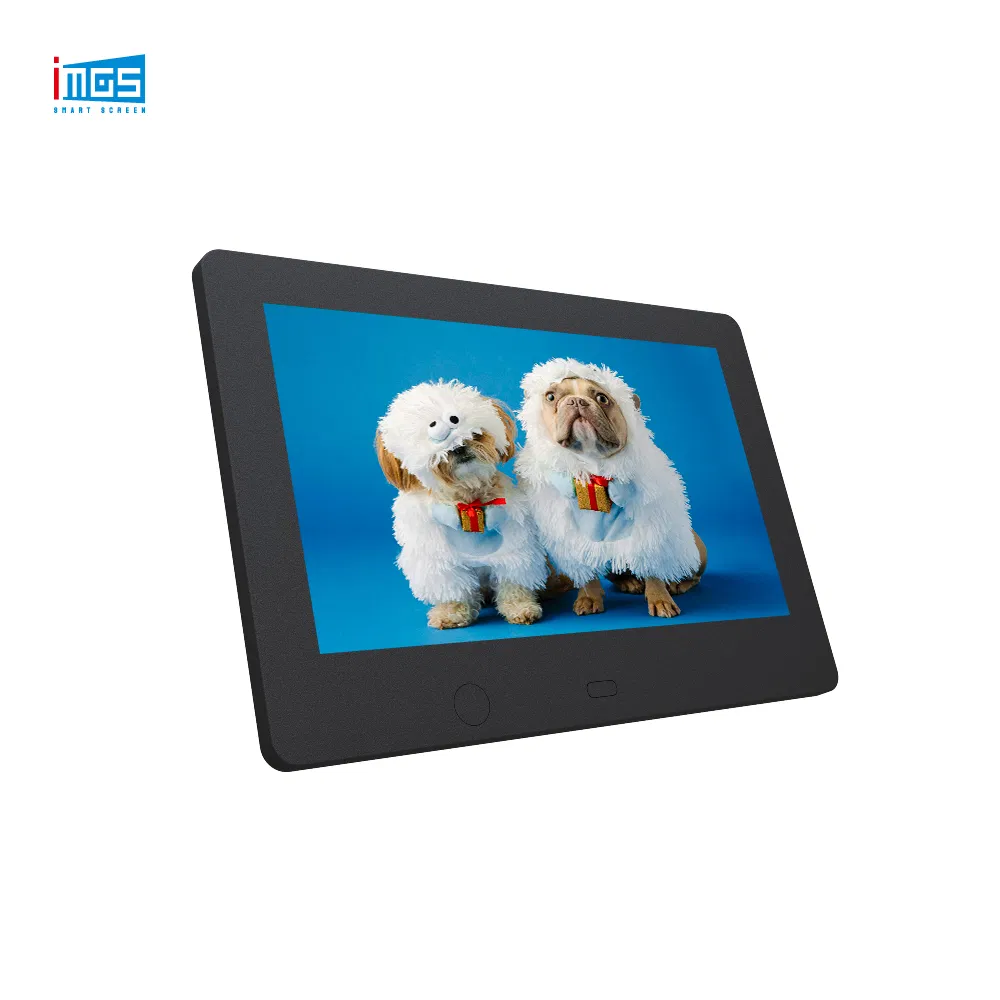 7-21.5 Inch Digital Photo Frame Picture Video LCD Frames