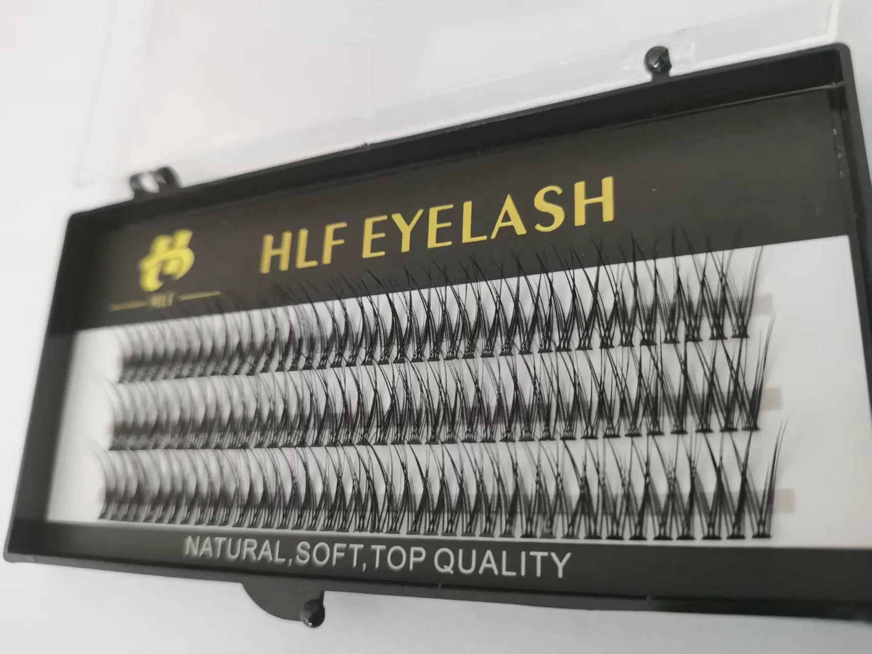 Premade Fan Cluster Lashes 0.10mm Fishtail Type Fashion 10d 12D 14D Heat Bonded Individual Cluster Eyelash DIY Eyelashes Extension