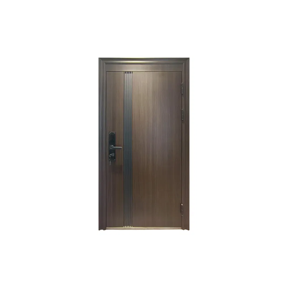 Steel Back Door and Frame Entry Exterior Metal Design Steel Door