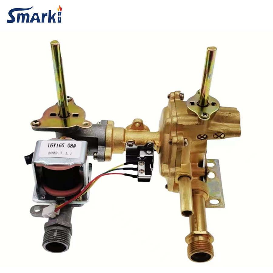 All Kinds of Gas Water Heater Zero or Normal Pressure Valve Parts