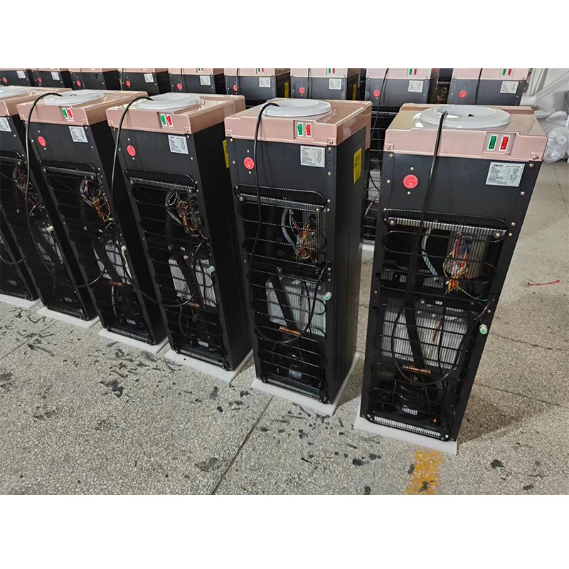 Cheapest Two Taps Hot and Cold Water Dispenser with Compressro Cooling