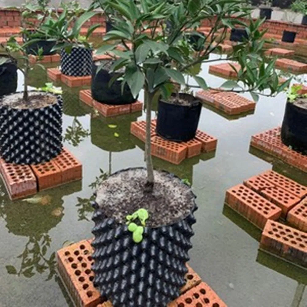 Commercial Root Pruning Pot: Industrial-Grade Root Pruning Solution