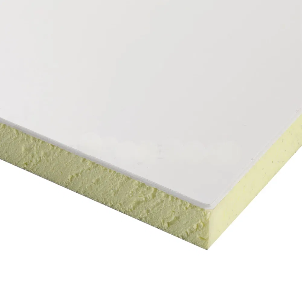 Extruded Polystyrene Composite Panel with FRP/Alu/Steel Skin XPS Foam Panel