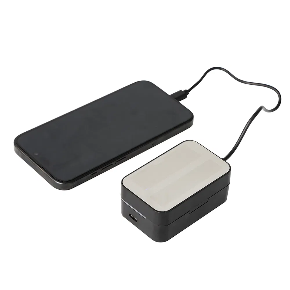 Support Custom Brand Black Model Gt-We-T250 in-Ear Earbuds