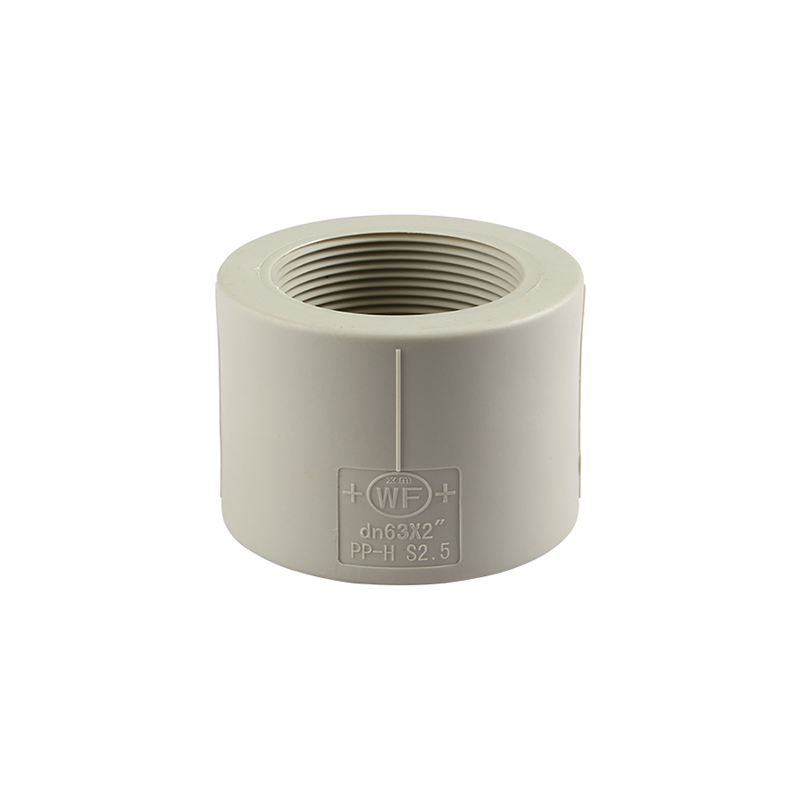 DIN Chemical Usage Plastic Pipe Fitting CPVC Female Coupling