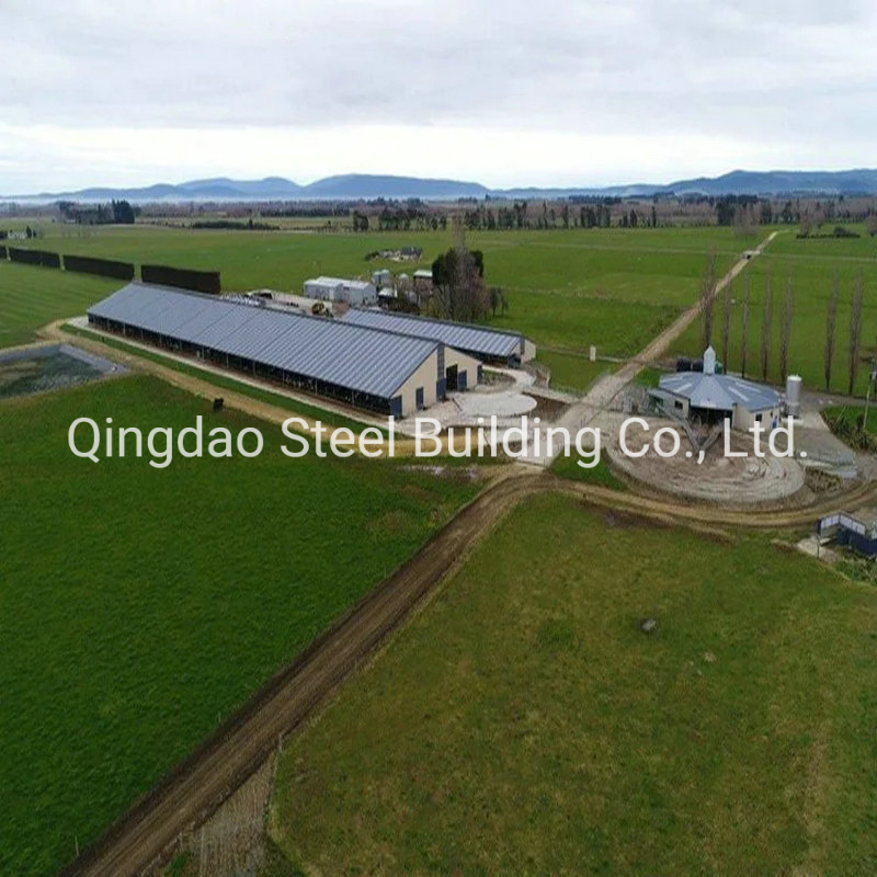 China Wholesale Prefabricated Steel Structure Roof Shed Cowshed Cattle Shed Farms Building