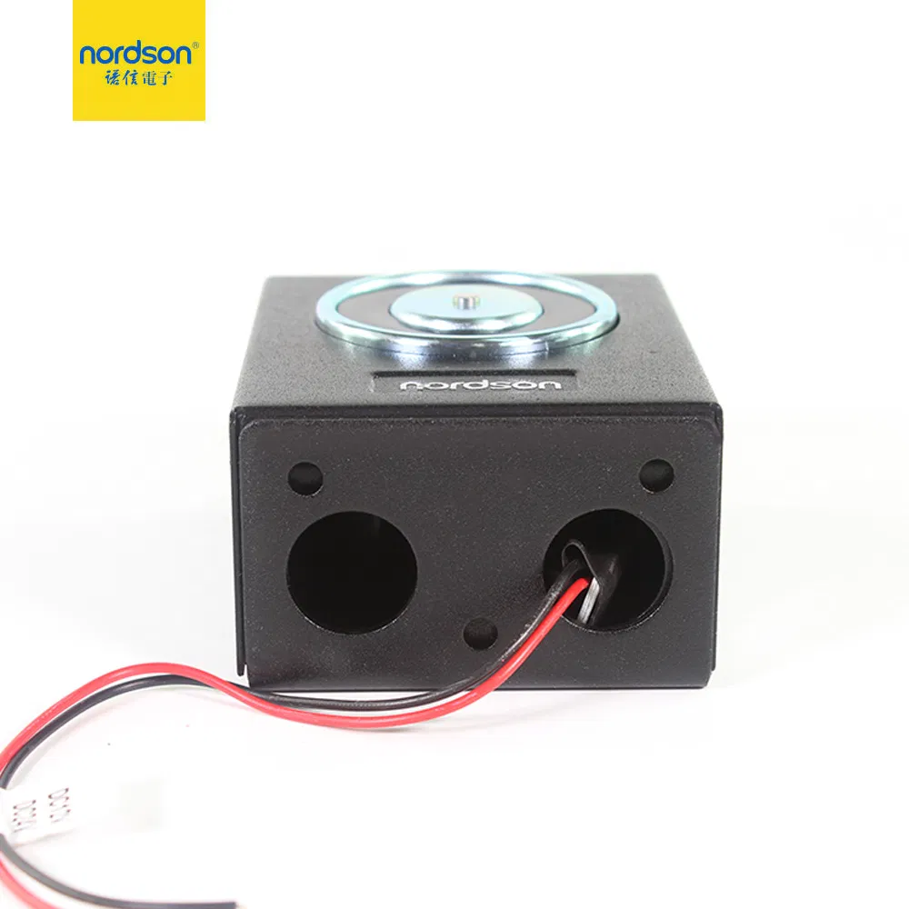 DC12V/24V Stainless Steel Standard Electromagnetic Wall Mount Door Holder Door Stopper