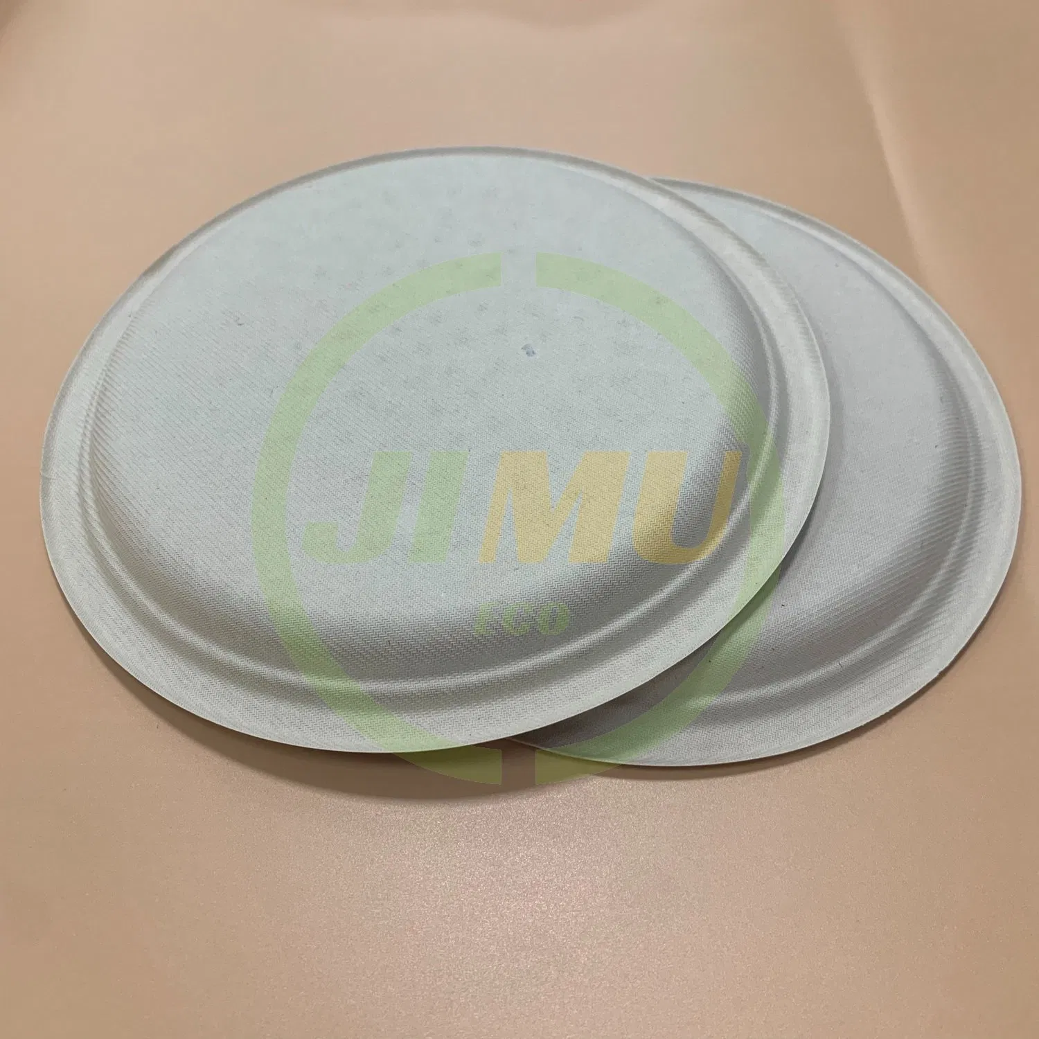 100% Natural Bagasse Pulp Biodegradable Disposable 10 Inch Round Dish Salad Plate