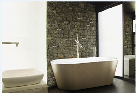 Luxury Baby Bathtub with Different Color (JL607)