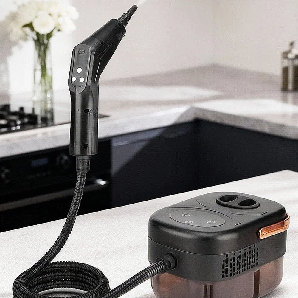 2500W Portable Handheld Steam Cleaner High Temperature Pressurized Steam Cleaning Large Capacity