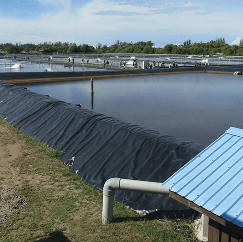 Strong Black Geomembrane for Effective Tailing Dam Protection Needs