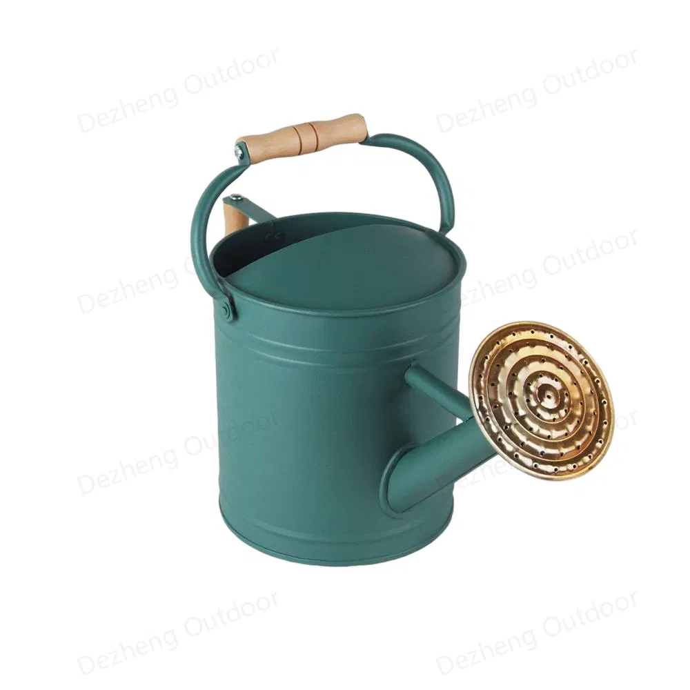 Wholesale Watering Can Plant Watering Perfect for Indoor Outdoor