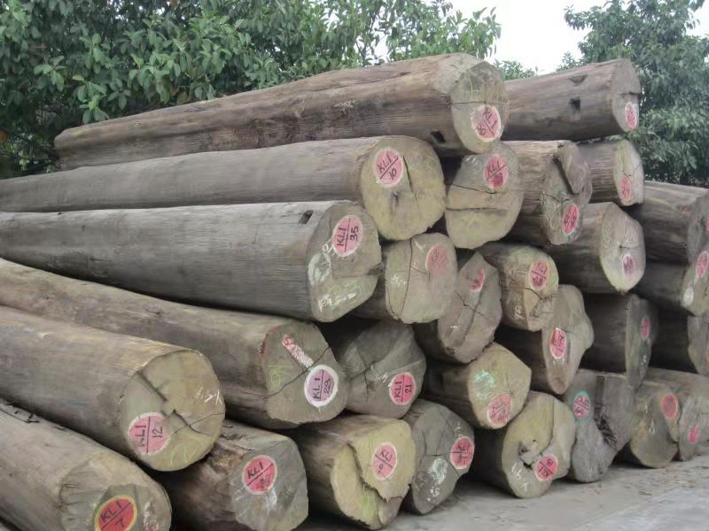 Authentic Burmese Logs Teak Boards Furniture Decks Thai Teak