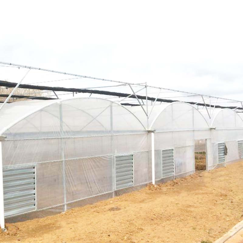 Four Season Tunnel UV Resistance Multi Span Farm Greenhouse for Vegetables Growing