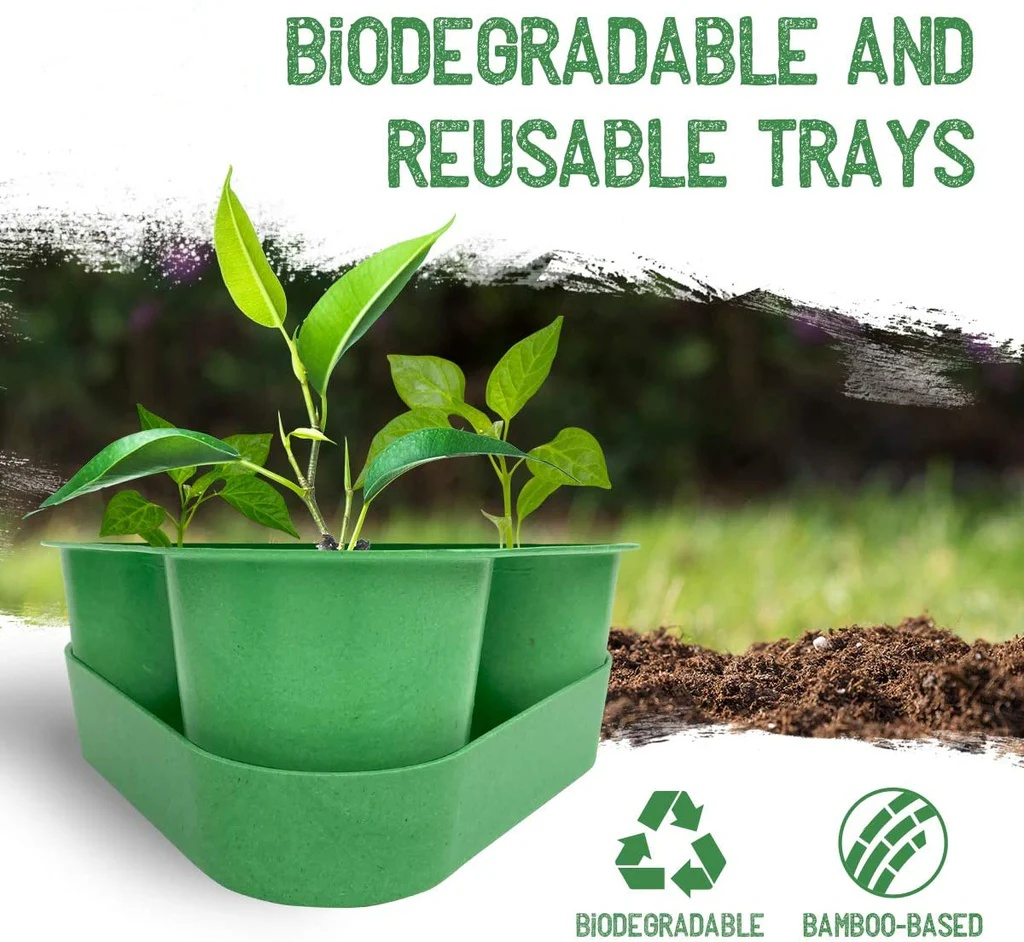 Rustic Farmhouse Vegetable Garden Starter Kit for Home Growing