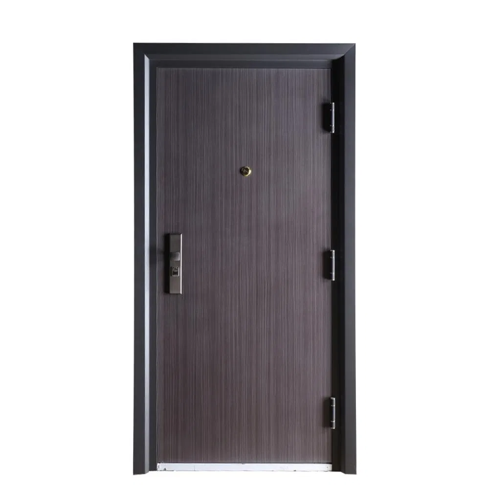 Stylish Steel Security Door Designed for Maximum Safety