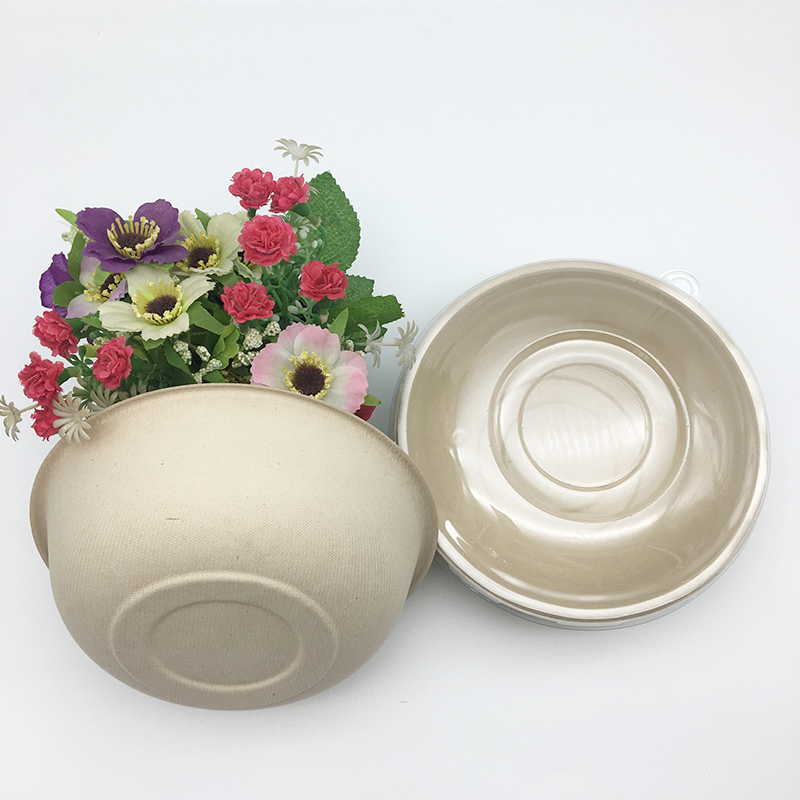 Biodegradable Sugarcane Bagasse Soup Salad Bowl
