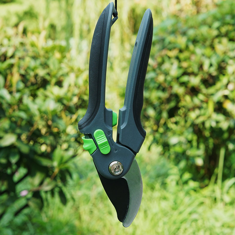 Wali SSR 3108 Hot-Selling Sk5 Blade Gardening Pruning Shears Hand Pruner Fruit Branches Flower Trees Tools Trimming Gardening Scissors Garden Tools