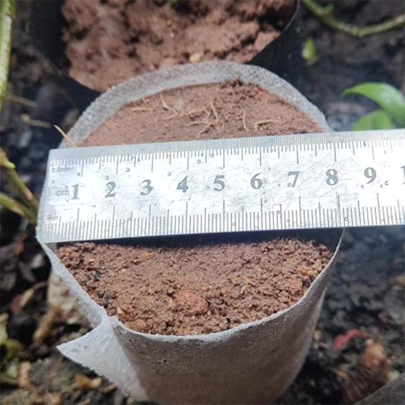 Breathable High Survival Planting Tree Non Woven Fabrics Bag White Nursery Bags