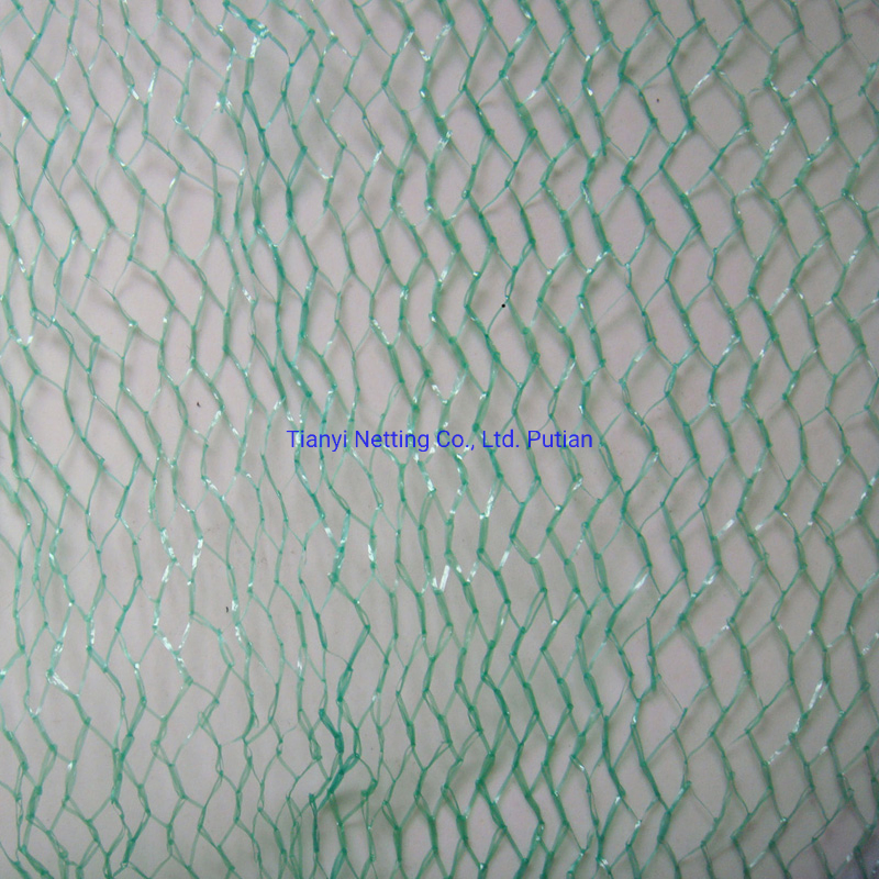 HDPE 8GSM 10X3m Green Color Anti Bird Net, High Quality, Protect Crops.