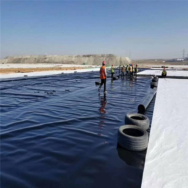 ASTM GM13 Standard 0.2mm-3mm HDPE LDPE LLDPE PVC EPDM Waterproof Farm Pool Pond Linergeomembrane
