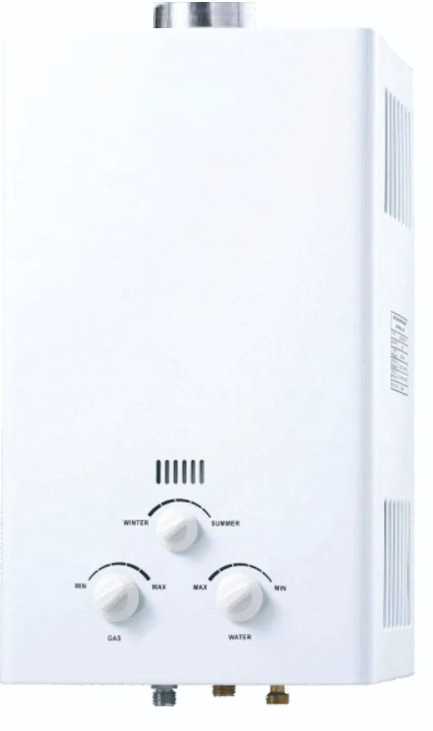 Instant Tankless Gas Water Heater with 12L LPG or Natural Gas