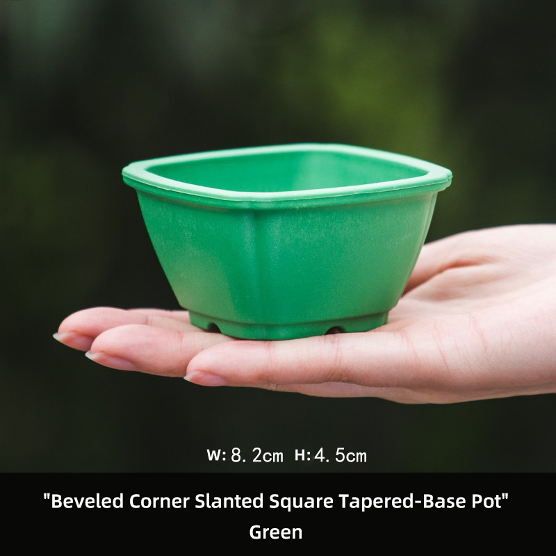 Creative Succulent Flower Pot for Succulent Plants and Calamus Small Bonsai