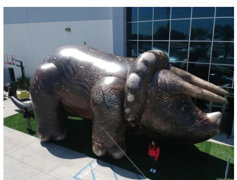 2023 New 25'x50' Giant Inflatable Orange Triceratops (airbrush)
