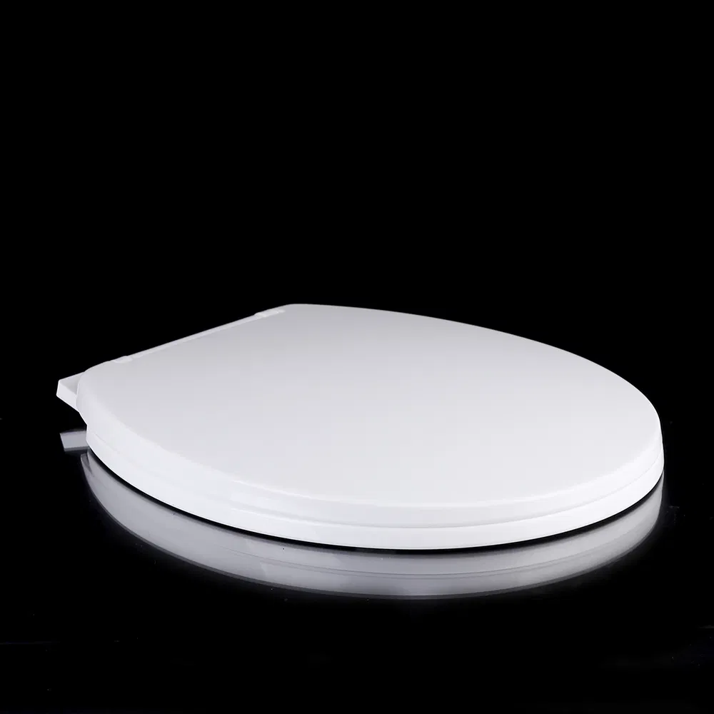 High Quality New UK European market style bus toilet seat for lavatory