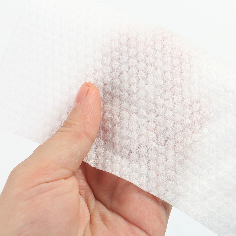 Dry Towel Free Sample Family Picnic Essential Sofr Dry Wipes