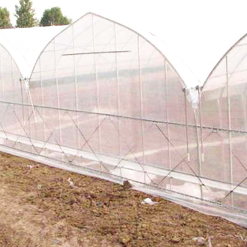 PE 150mic Tunnel Plastic Agricultural Multi Span Film Greenhouses with Shading System