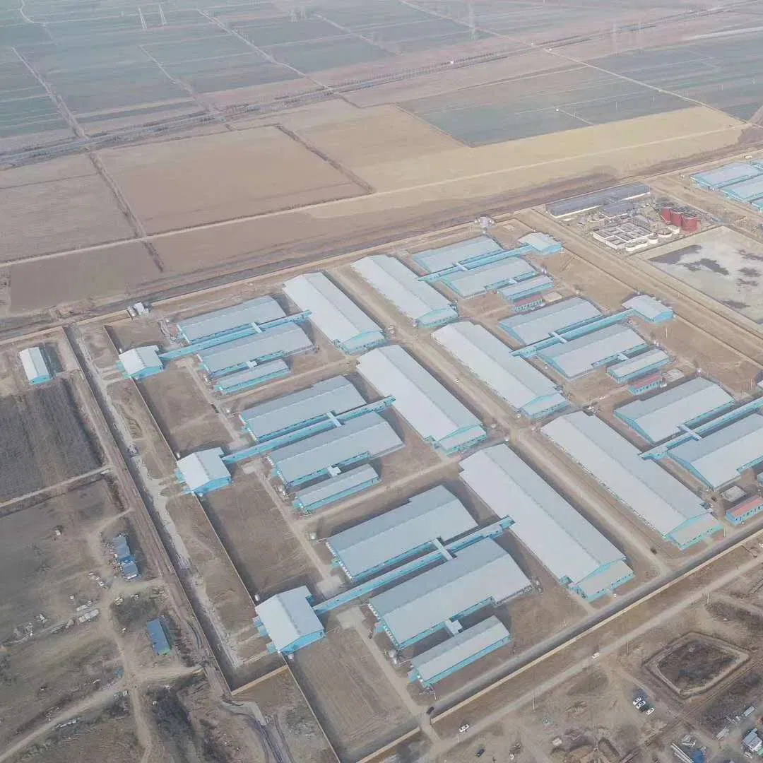 Prefabricated Steel Structure Office Sports Hall Exhibition Hall with Steel Framework