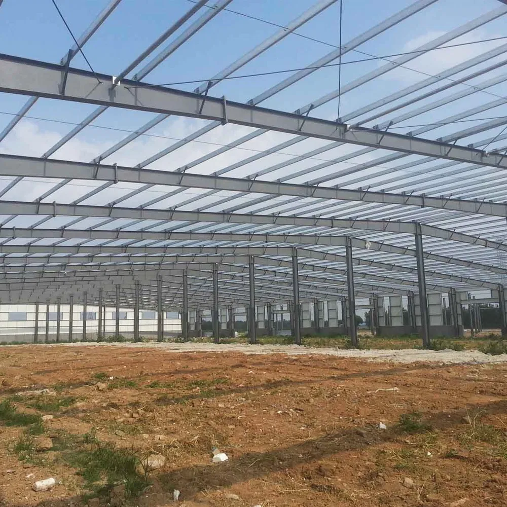 Low Cost Steel Structure Warehouse in Qingdao (TW-KA014)