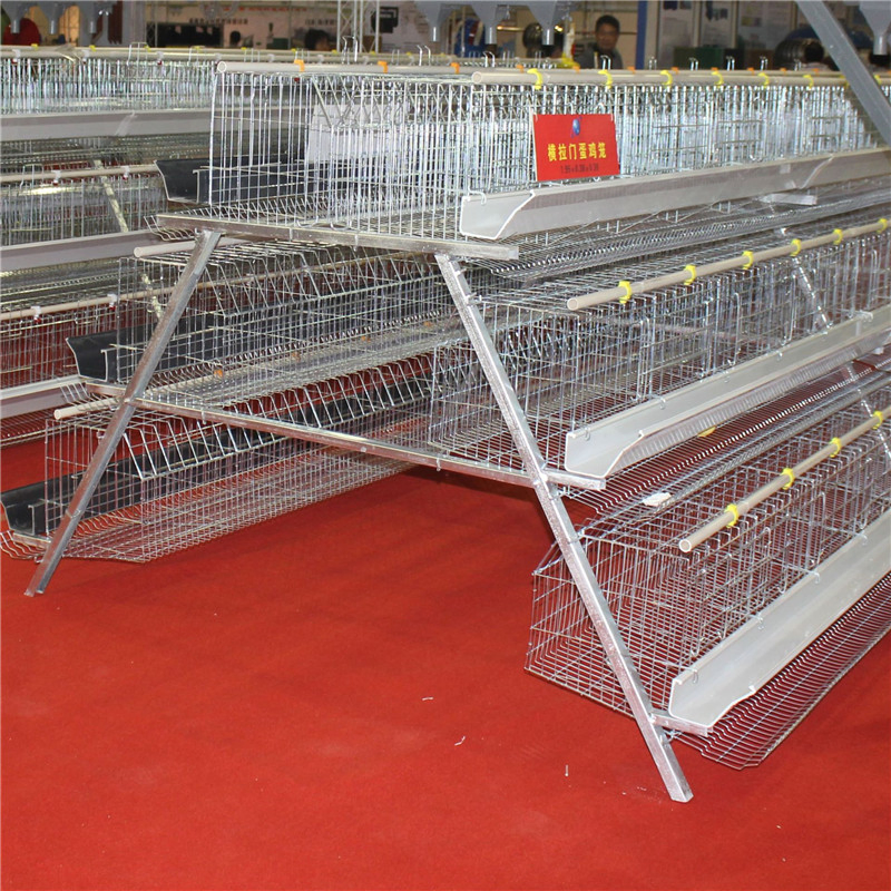 Long Span Easy Built Automatic Steel Chicken Farm Equipment