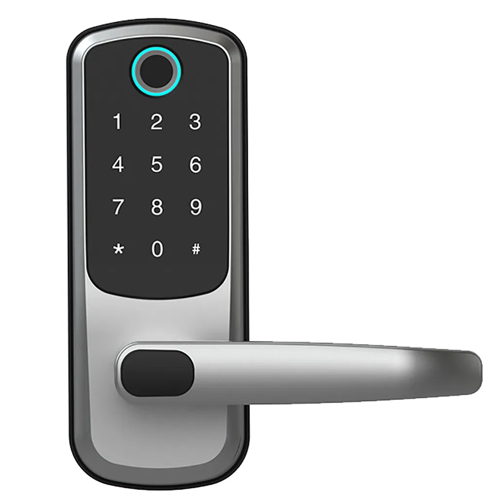 WiFi Bluetooth Door Handle Security Digital Keyless Fingerprint Door Lock