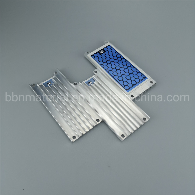 110V or 220V Integrated 10g/H Stainless Steel Ozone Ceramic Plate Ozone Generator
