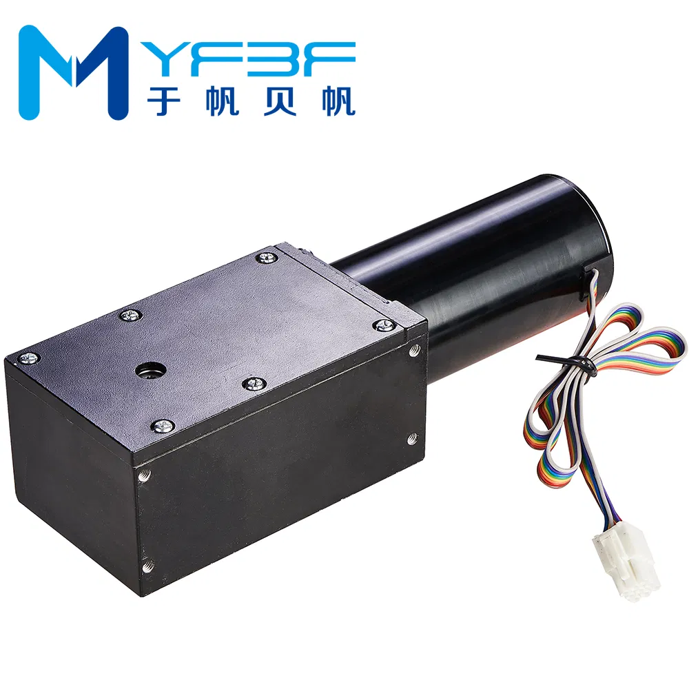 DC 24V 100W Automatic Swing Door Opener Motor for Outdoor Hotel and Apartment