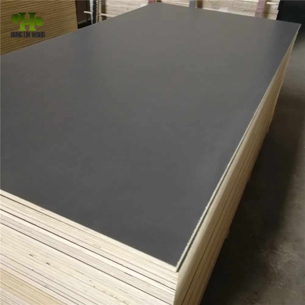 HPL Light Paulownia Commercial Plywood for Camper