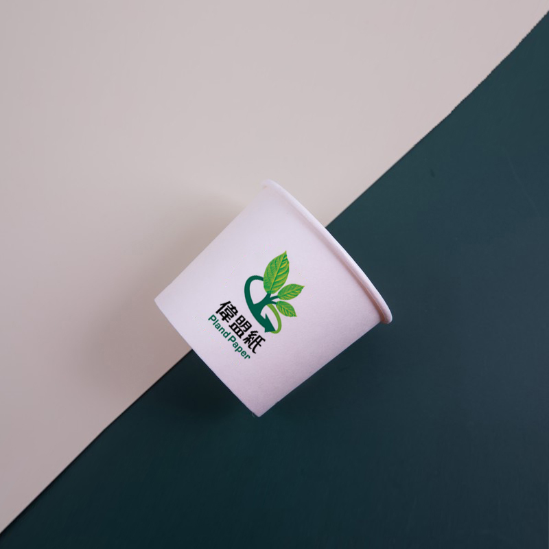 Бумажная чашка 16oz с крышкой WM17