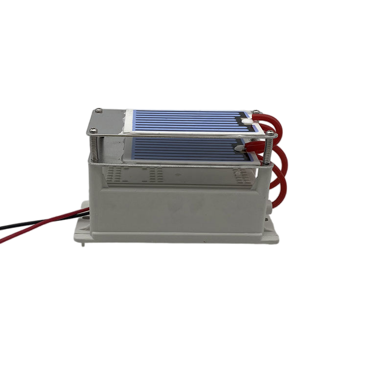 Good Quality Air Purifier for The Home Portable Ceramic Ozone Generator 12V7g