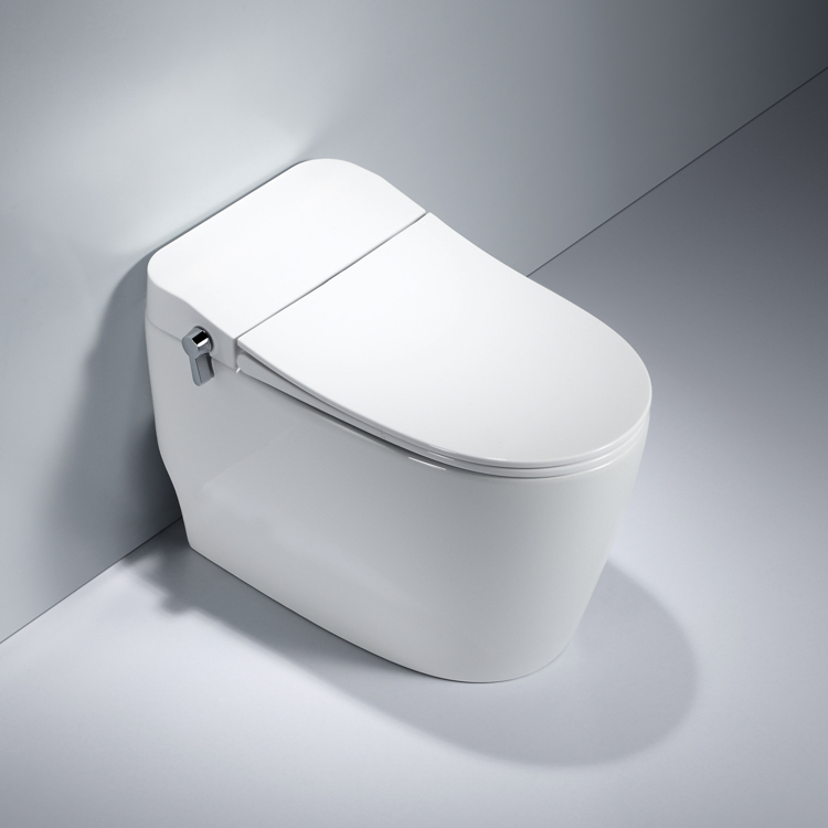 Foot Kick Flushing Ceramic Sanitary Composting One Piece Toilet