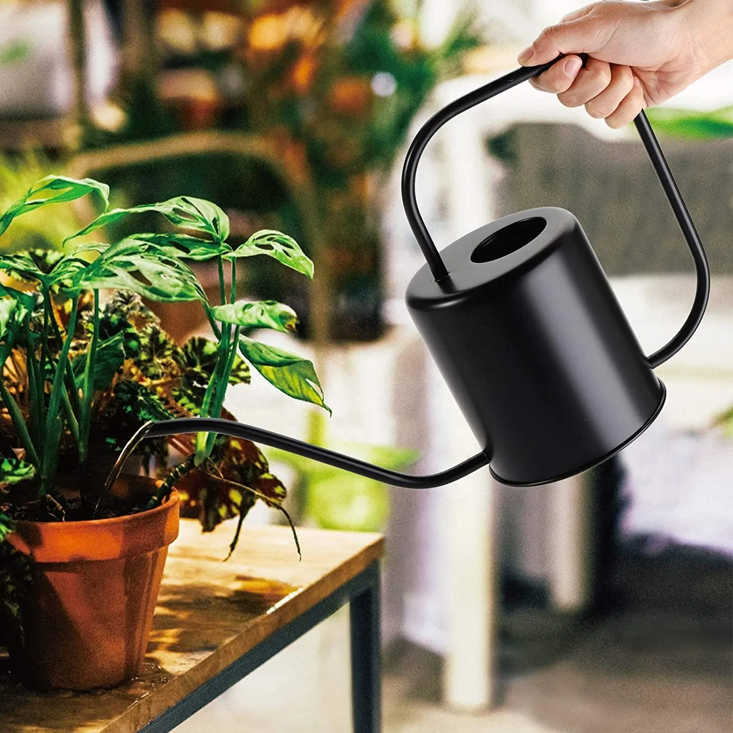 Stainless Steel Modern Style Watering Pot Black Watering Can