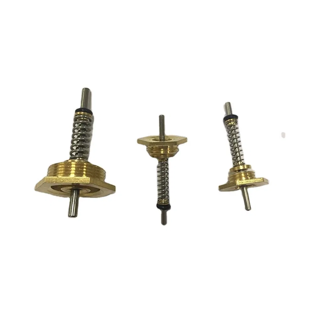 Gas Water Heater Spare Parts CKD Valve Thimble Spring Pin Needle