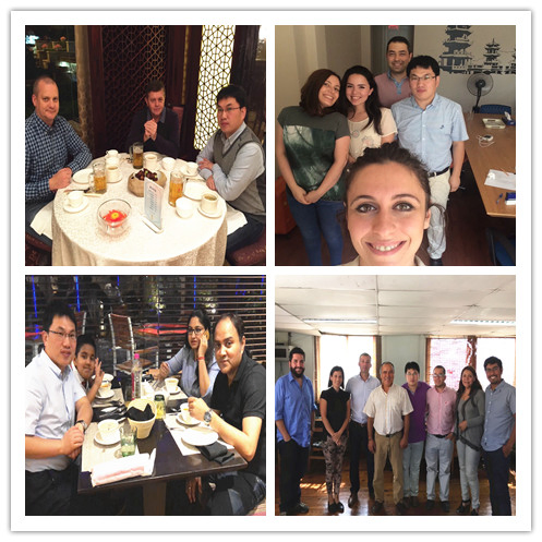 Organic Chemical Product Sodium Gluconate for Concrete Admixture