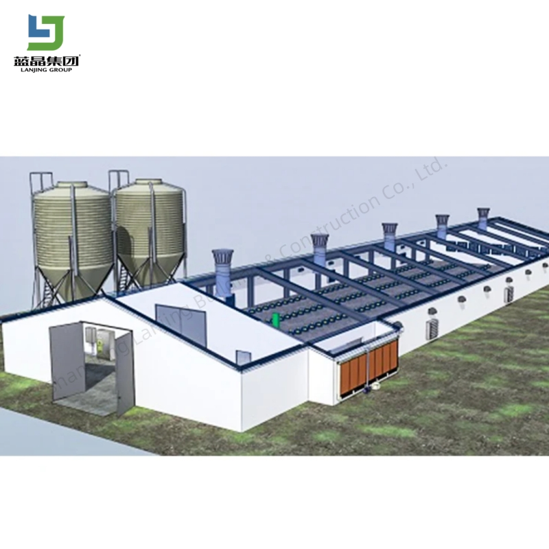 Large Capacity Modern Poultry Farm Steel Structure Animal House Layer/Broiler Chicken Coop Building for Automatic Battery Cage