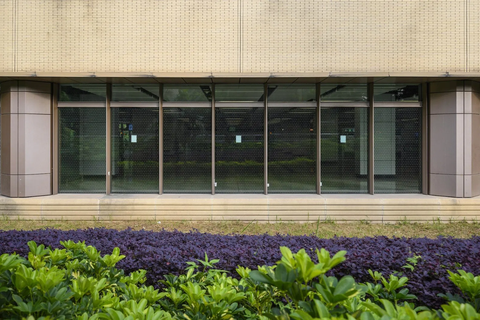 Curtain Wall Decorative Glass for Protecting Birds
