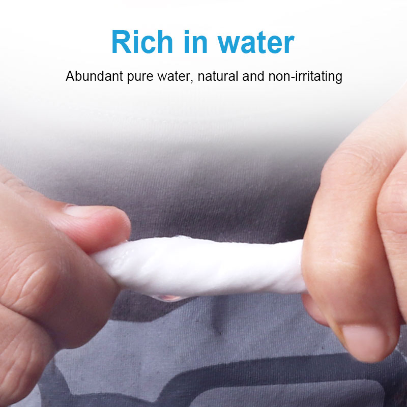 Hot Sale Pet Supplies 100% Native Pet Ear Wipes Organic Biodegradable Pet Wipes